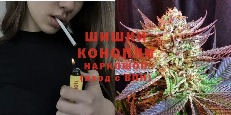 Конопля SATIVA & INDICA  купить закладку  Бахчисарай 